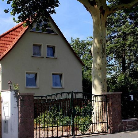Pension Elbblick Sabine Zuschke マイセン エクステリア 写真
