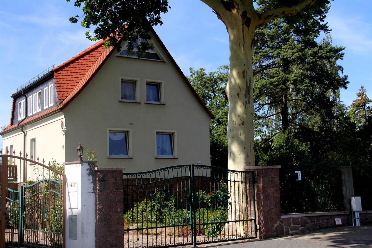 Pension Elbblick Sabine Zuschke マイセン エクステリア 写真